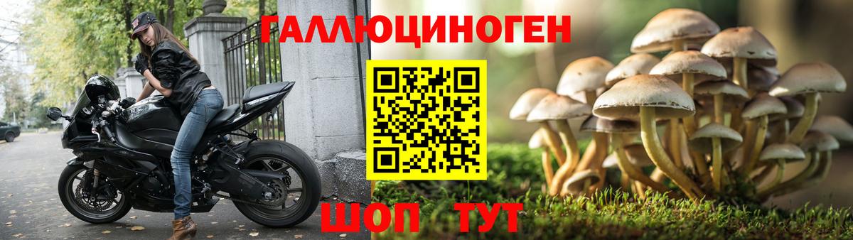 Галлюциногенные грибы GOLDEN TEACHER  Вход с VPN  Реутов 